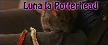 Luna la Potterhead prit la parole. « Hippophile, Lizea a raison. Il ne faut pas se fier à cette chose. J'ai étudié à Poudlard, et on m'a dit de me méfier de ces animaux. Si ça se trouve, c'est un Animagus, comme Croûtard, le rat de... ».