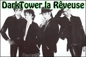 DarkTower la Rêveuse était déjà allongée dans son duvet, et sa respiration régulière incita tous les autres à aller dormir ; finalement, Sisi l'Explosive dormira dans le lit d'Hippophile, tandis qu'Hippophile dormira dans la chambre des garçons. DarkTower rêvait d'un autre monde... « Où la Terre serait ronde », comme dirait un groupe musical :