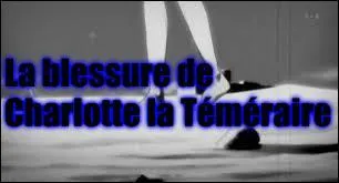 Charlotte la Téméraire attrapa un des livres qu'elle avait pris, et s'avança courageusement dans le noir. Elle poussa soudain un cri. Ses compagnons accoururent, et la trouvèrent couchée par terre, avec la cheville droite gonflée. Que peut-elle théoriquement avoir ?