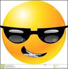 Quel est l'intrus : "Jeans", "Hose", "Hemd" ?