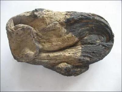 Comment appelle-t-on ce type de bombe volcanique ?