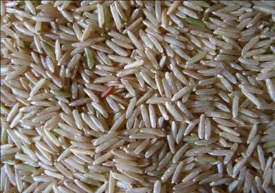 Riz à grain long, très parfumé, originaire d'Inde ou du Pakistan :