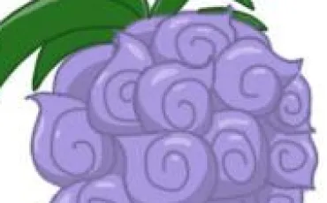Quiz Fruits