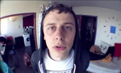 De quelle couleur est le chat de Norman ?