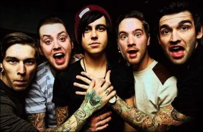 Quelle musique correspond à "Sleeping With Sirens" ?