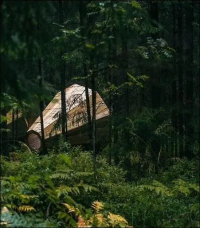 Cette chose bizarre a été retrouvée en Estonie... Ma foi, qu'est-ce ?