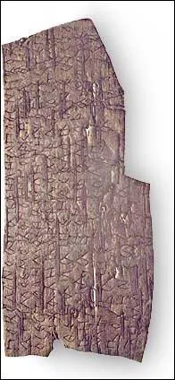 Mais est-ce que le mot "livre", par exemple, aurait quelque chose à voir avec notre ami l'arbre ?