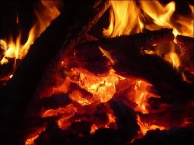 De quel bois je me chauffe ? Le chauffage au bois est de plus en plus délaissé dans notre pays : pourquoi ?