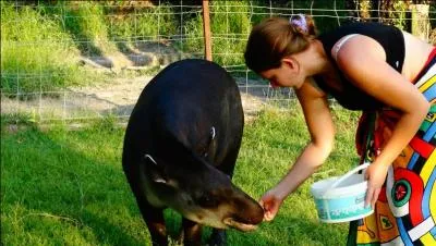 Ancien fonctionnaire, spécialisé dans les grosses et les minutes !