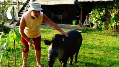 Invité solitaire, qui se goberge à vos dépens !