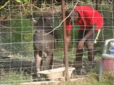 Langue parlée dans le sud de l'Inde !