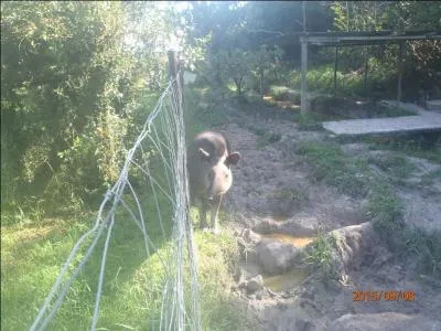 En cas de danger, vous pouvez la prendre !