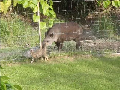 Au petit bonheur la chance, aurez-vous de la veine ?
