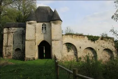 Dans quel département picard se trouve l'intéressant village de Lucheux où vous pourrez voir un donjon ayant servi pendant quelques jours à Jeanne d'Arc ?