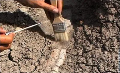 Quel est le métier d'Yves Coppens, ce breton très connu dans les milieux scientifiques ?