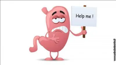 Les aliments sont malaxés dans l'estomac , mélangés au suc gastrique, ils se transforment en une pâte qu' on appelle ... .