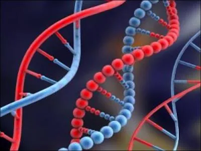 Parmi ces maladies, laquelle est génétique ?