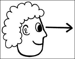 Comment diriez-vous "Regardez ! " à quelqu'un ?