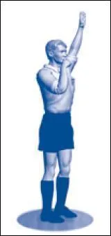 Que signifie le geste de l'arbitre ?