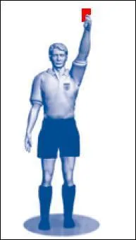 Que signifie le geste de l'arbitre ?