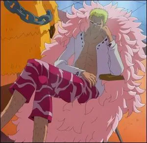 Qui a battu Doflamingo ?