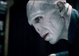 Impossible de ne pas commencer par Lord Voldemort, le grand vilain de la saga "Harry Potter". Voldemort est un grand tueur ; c'est lui qui a tué, par exemple, Lily et James Potter, les parents du héros. Quel est le véritable nom de Lord Voldemort ?