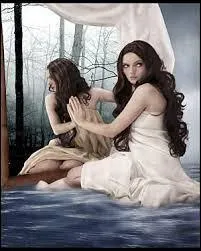 Souvent, quelle matière compose le miroir ?