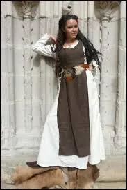 Vêtement porté par-dessus la cotte, par les hommes et les femmes du XIIIe au XVIe siècle, au Moyen Âge :