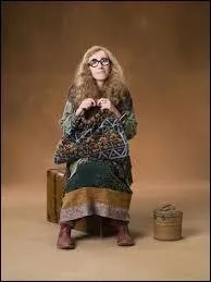 Oh la la ! Est-ce parce qu'elle officie dans une salle de classe embuée de la fumée d'encens, est-ce la fumette d'herbes illicites, quelle raison pourrait expliquer le sens (très spécial) de la mode de Sybil ?