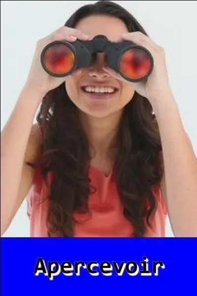 Quel est le bon verbe ?