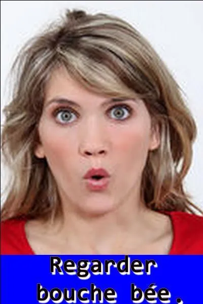 Quel est le bon verbe ?