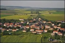 Nous passons au-dessus de Laneuveville-en-Saulnois. Village lorrain de l'arrondissement de Ch&acirc;teau-Salins, il se situe dans le d&eacute;partement ...