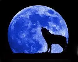 D'après les légendes, en quoi un humain peut-il se transformer une nuit de pleine lune ?