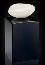 Comment s'appelle ce parfum de Giorgio Armani ?