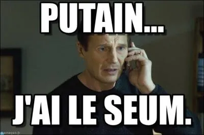 Parlez-vous le djeun's ? Que signifie "Avoir le seum" ?