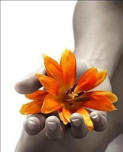 Quand on est trs sensible, on dit qu'on est :