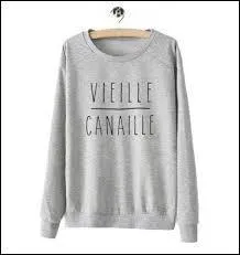 Qui chante  J's'rai content d'avoir ta peau / vieux chameau  dans sa chanson  Vieille canaille  datant des annes 80 ?