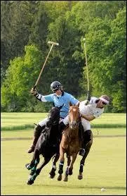 Au polo, avec quel instrument les joueurs poussent-ils la balle vers le but adverse ?