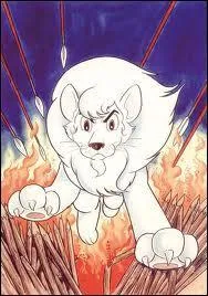 Ce magnifique lion blanc porte un prénom à l'avenant. Il est... ?