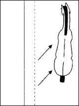 Comment place-t-on ses jambes pour déplacer les hanches de sa monture à droite ?
