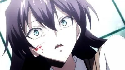 Je suis un assassin de la Classe Noire et je suis surnommée "Jack l'Éventreur du 21e siècle". Je me nomme :