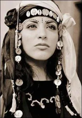 D'où est-elle ? Vaste étendue désertique qui s'étend à l'ouest de la vallée du Nil, depuis les confins du delta jusqu'à la réponse Q1.