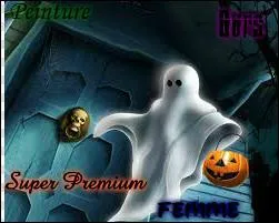 Horreur ! Un fantôme ! Poucette, sans lever le drap recouvrant la tête de ce fantôme, l'a déjà identifié... Cherchez quelques indices sur lui et trouvez son nom !