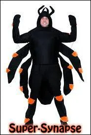 Tandis que Thrudon, Darktowerfanatic et Pilounet mangeaient des petits gâteaux, Synapse58 se mit à servir les boissons ; du jus de fruits pour les mineurs, et de la bière pour les adultes. Avez-vous vu son déguisement ? Il est déguisé en araignée ! Il ressemble à une grosse araignée visible dans "Harry Potter", laquelle ?