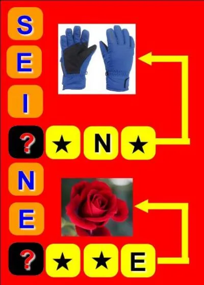 Quel est le métier de cette célébrité ?