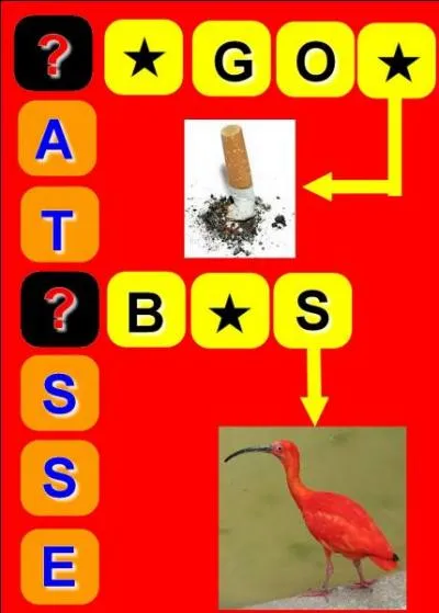 Quel est le métier de cette célébrité ?