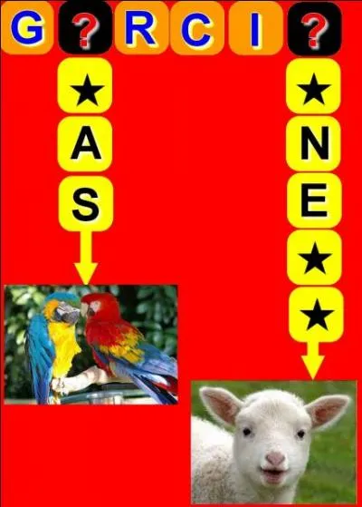 Quel est le métier de cette célébrité ?