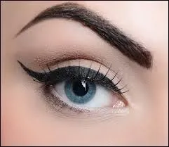 Comment traduit-on le mot "sourcil" en anglais ?