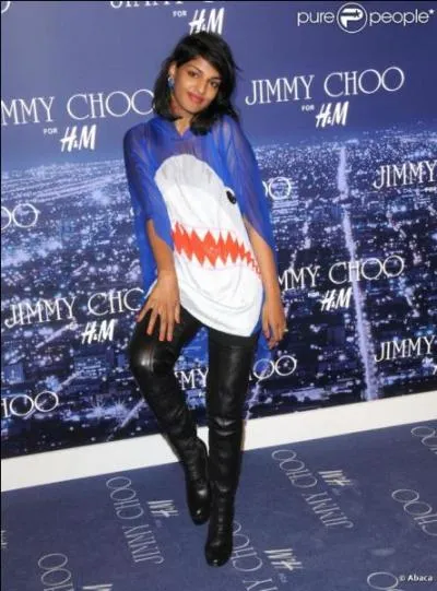 Mais qui est M.I.A ?