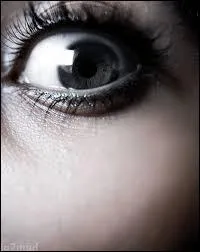 De quoi a peur Bellatrix&nbsp; ?